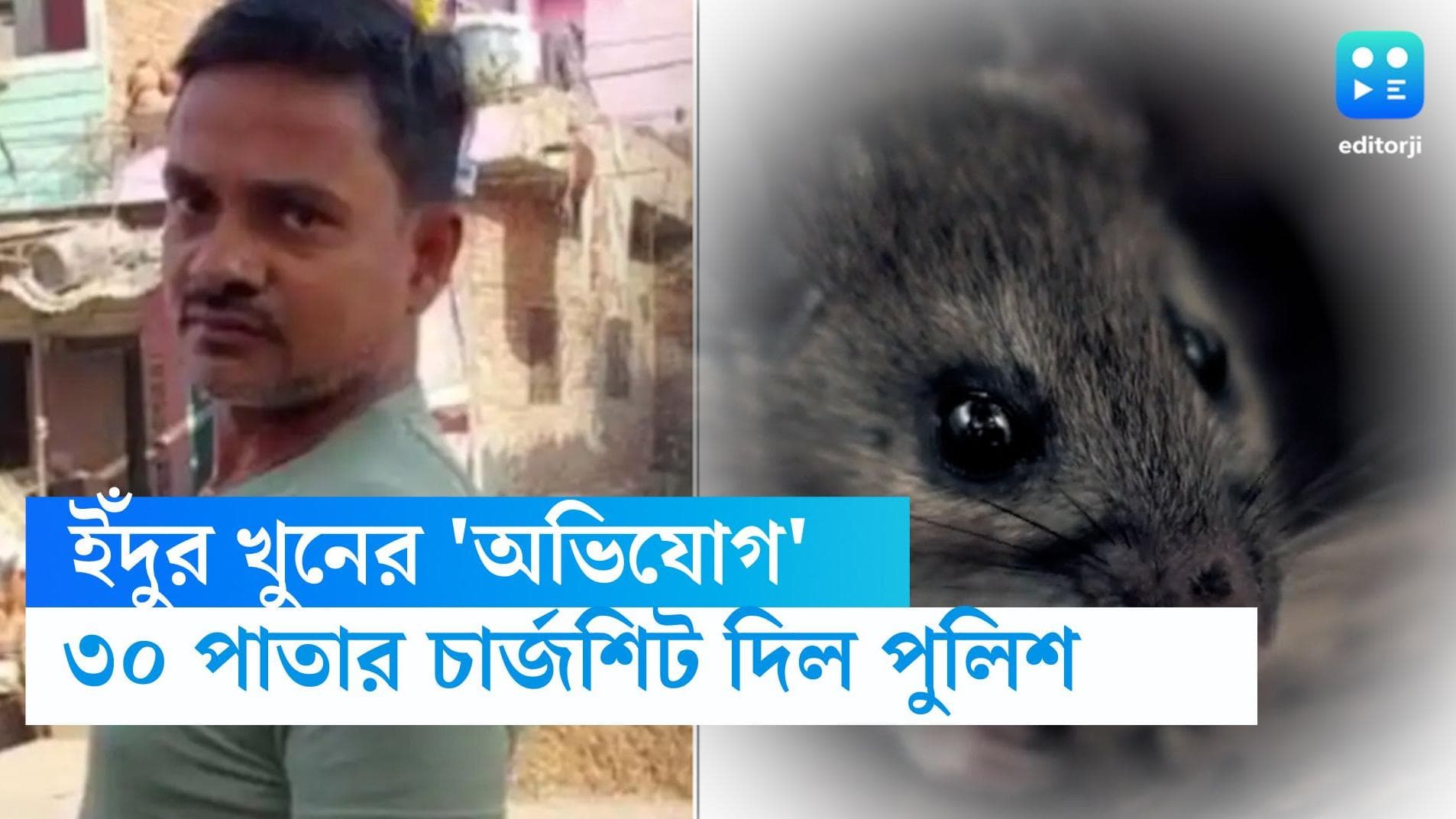Rat murder in UP: ইঁদুর হত্যার অপরাধে ধৃত এক ব্যক্তি, ৩০ পাতার চার্জশিট দিল পুলিশ