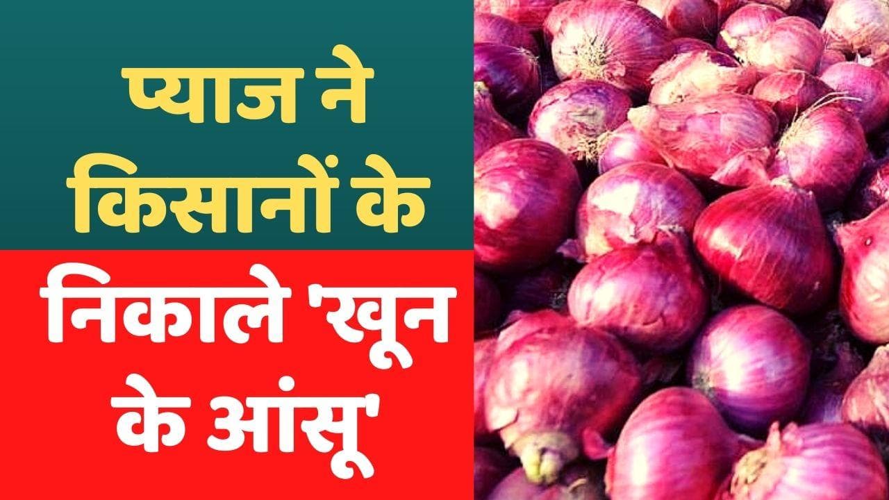 Onion Price: प्याज की कीमतों में भारी गिरावट, 1 रुपये किलो तक बेचने पर मजबूर हुआ किसान