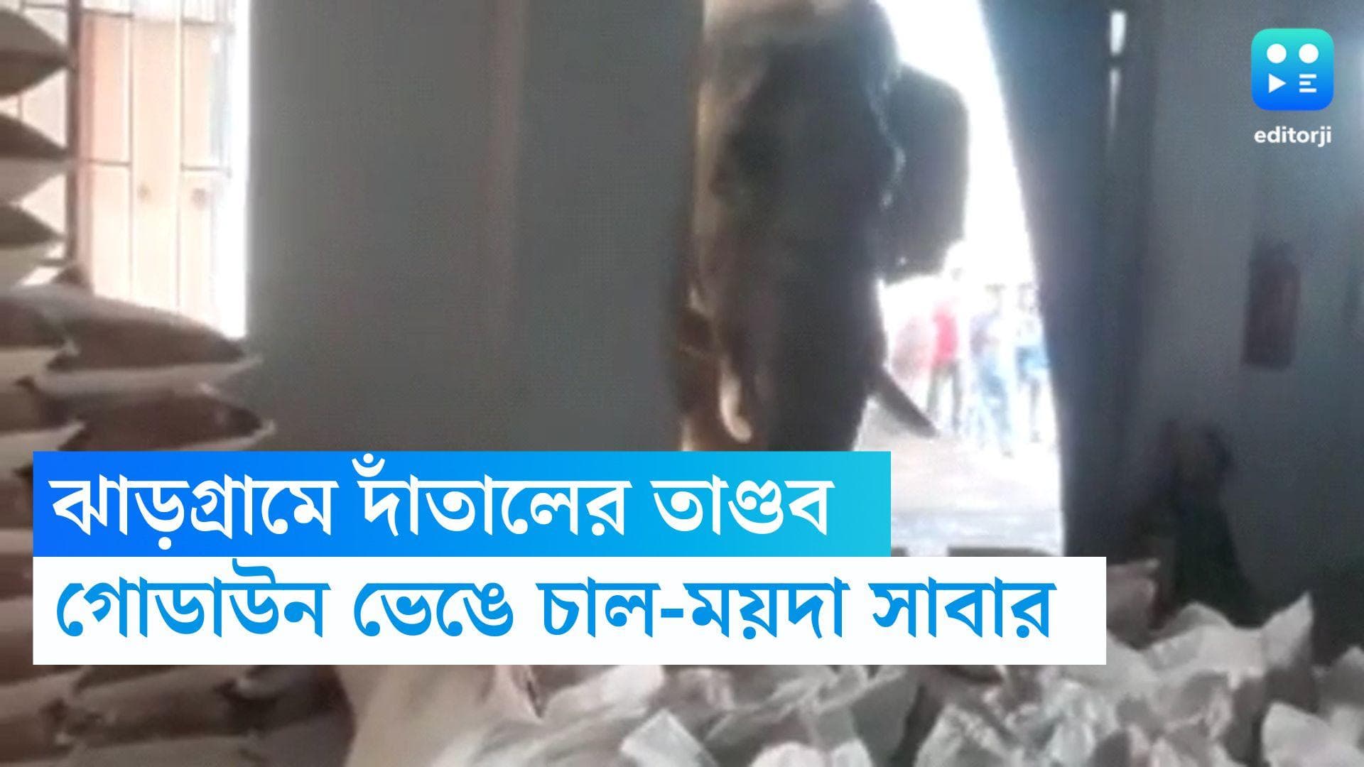 Jhargram News: রাইস মিলের গোডাউন ভেঙে ঢুকে চাল-ময়দা সাবাড় , হাতির তাণ্ডবে অতিষ্ঠ ঝাড়গ্রামবাসী 