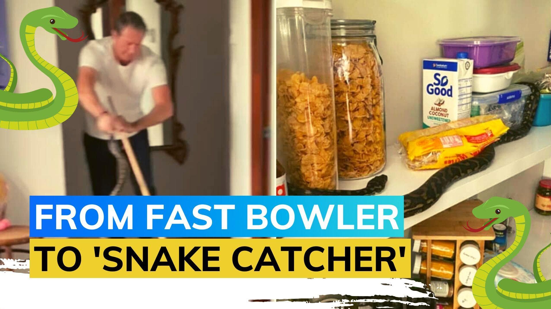 Watch: Snake attack at Glenn McGrath's house, ex-AUS cricketer daringly removes 3 pythons | Viral video