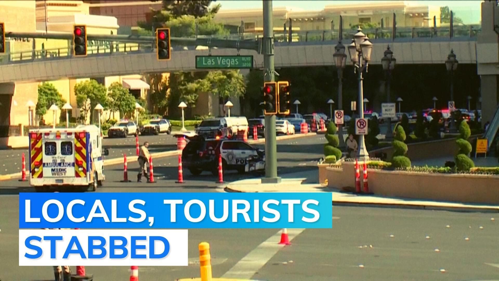 US: 2 dead, 6 injured in stabbings along Las Vegas Strip, say cops