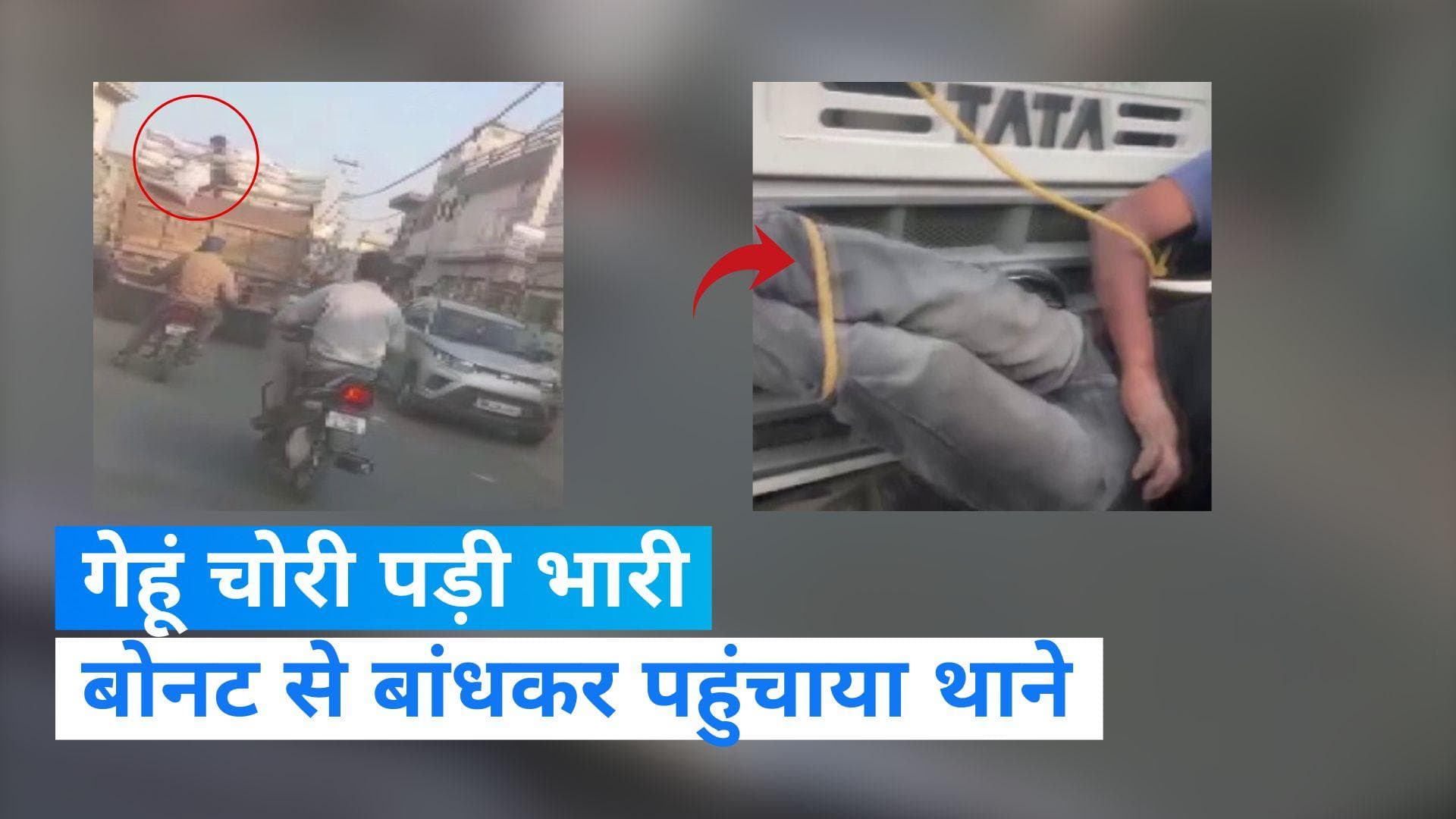 VIRAL VIDEO: चलते ट्रक से गेहूं की बोरी चुराना पड़ा भारी, आरोपी को बोनट से बांधकर थाने पहुंचा ड्राइवर