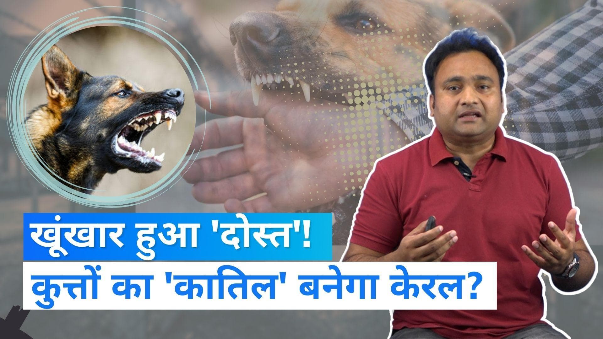 Explainer: हिंसक कुत्तों को क्यों मारेगी केरल सरकार? वफादार से खूंखार बनते दोस्त की कहानी! 