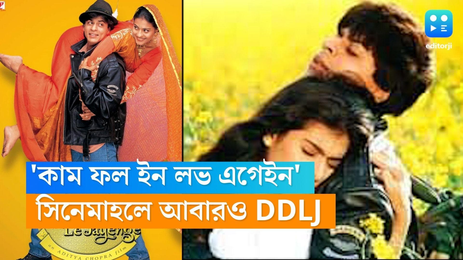 DDLJ in Cinemas Again : 'কাম ফল ইন লাভ এগেইন', প্রেমের সপ্তাহে দেশজুড়ে ফের মুক্তি পাচ্ছে ডিডিএলজে 