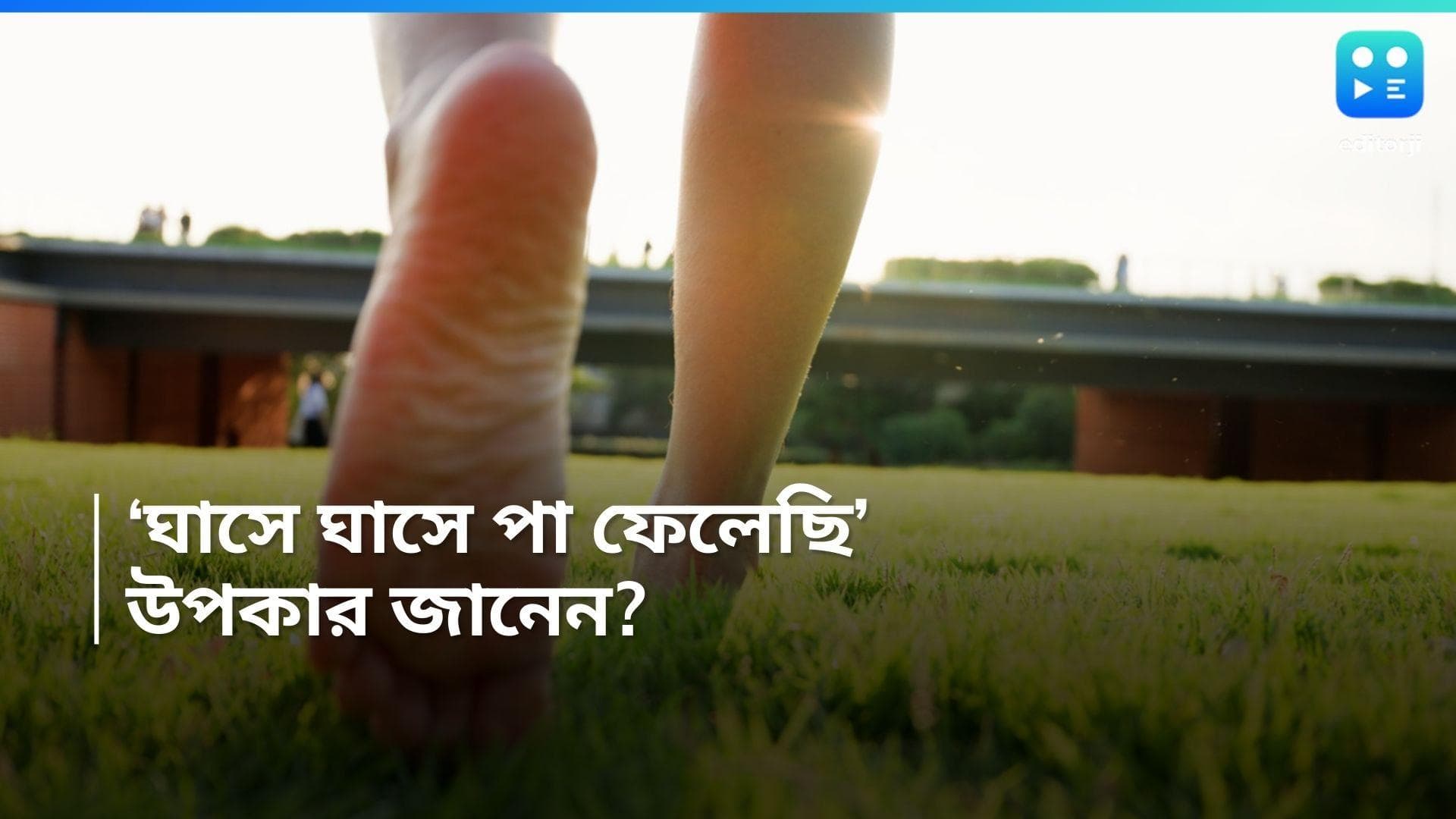 Walking In the Grass: সবুজ ঘাসে খালি পায়ে...নিয়মিত হাঁটলেই কেল্লাফতে!