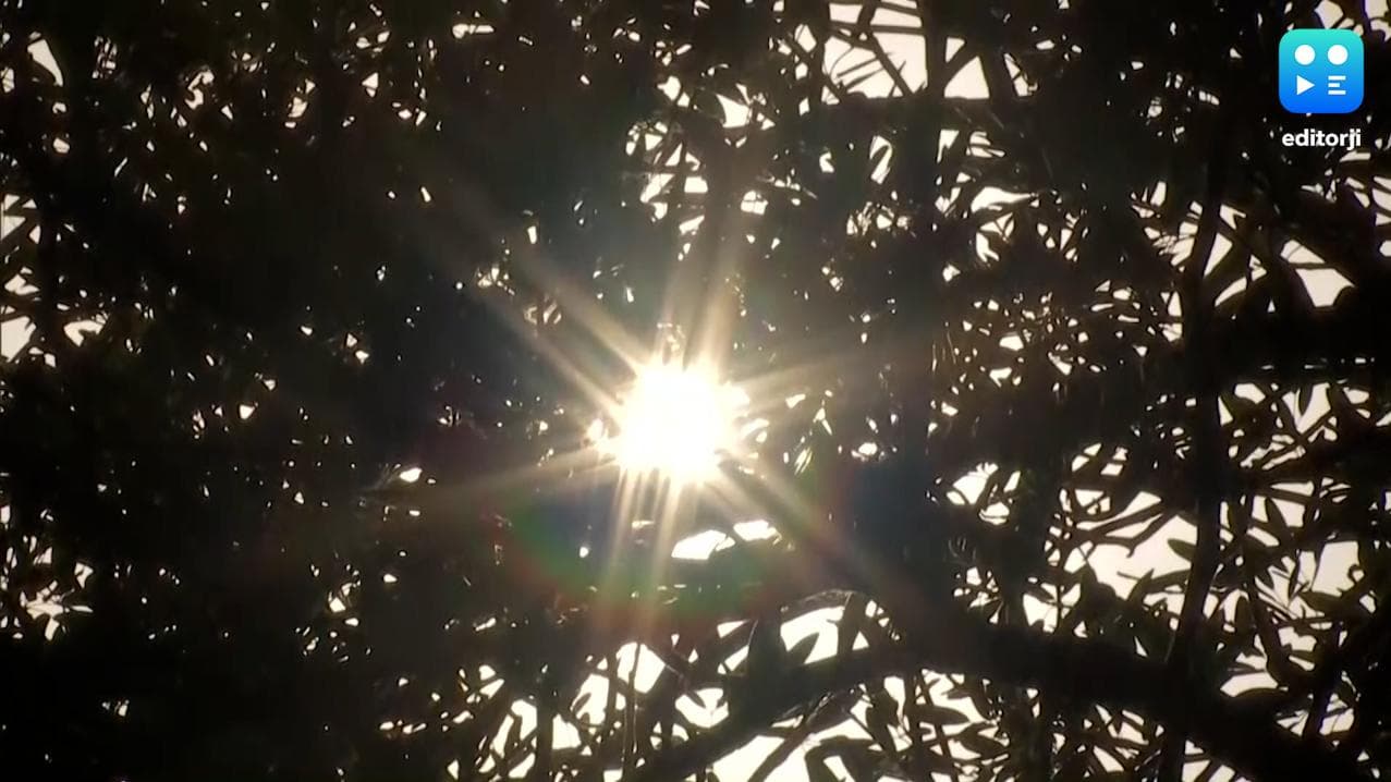 West Bengal Weather Update: প্রবল গরমে কাহিল বঙ্গবাসী, মার্চের শুরু থেকেই রোদে পুড়ছে কলকাতা থেকে জেলা