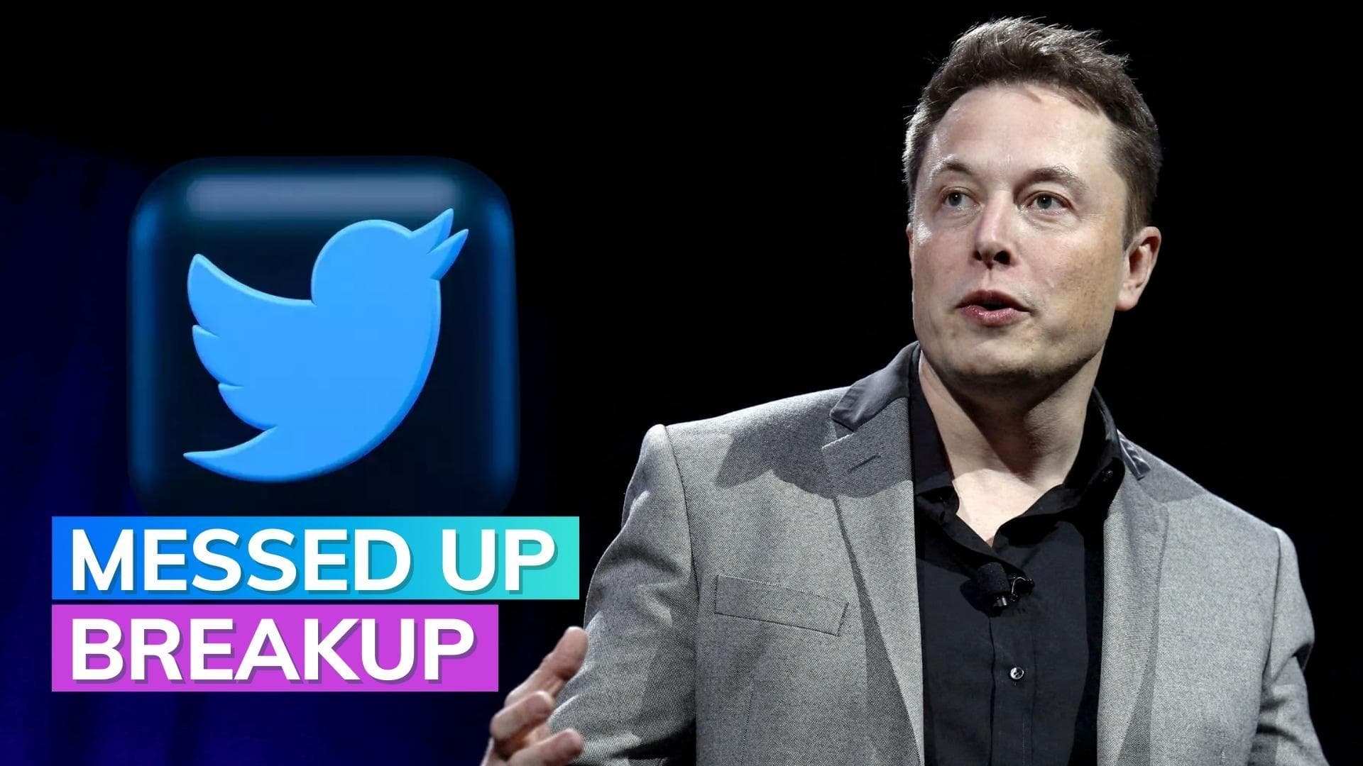 Elon Musk and Twitter saga| Tesla boss tweets after twitter sues him