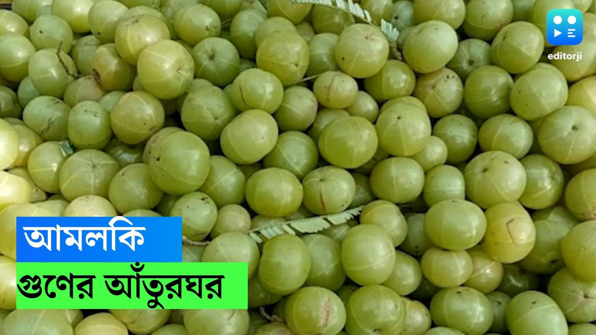 Amlaki Health Benefits: দিনে একটি সেদ্ধ আমলকি! কাজ করবে ম্যাজিকের মতো