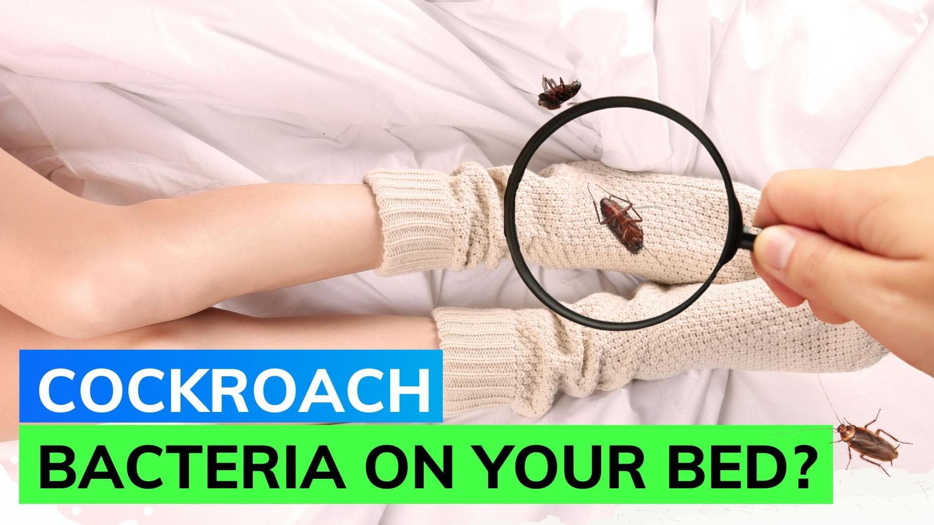 Researchers advise against wearing this item to bed. Say it is worse than a toilet seat