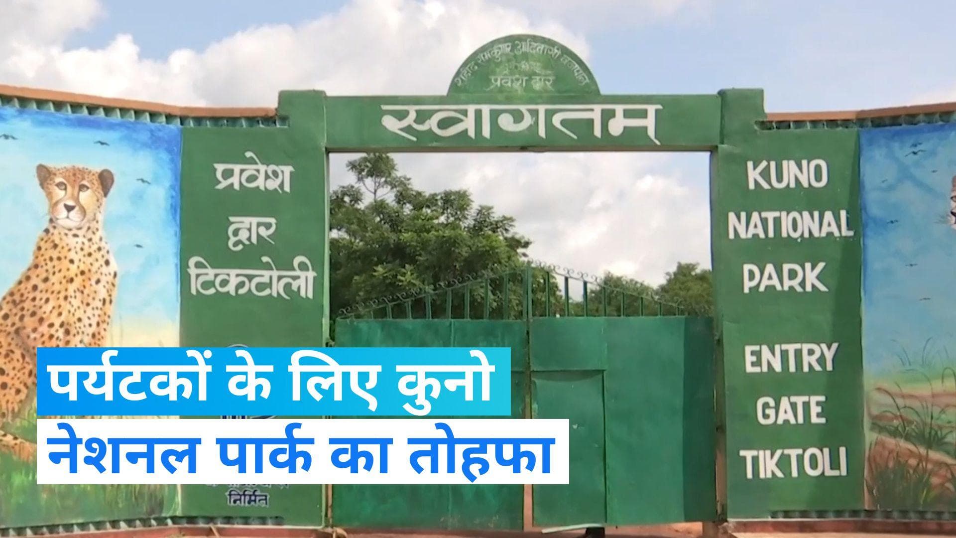 Kuno National Park : पर्यटकों के लिए खोला गया कुनो नेशनल पार्क का मेन गेट, अब अफ्रीकी चीतों का कर सकेंगे 