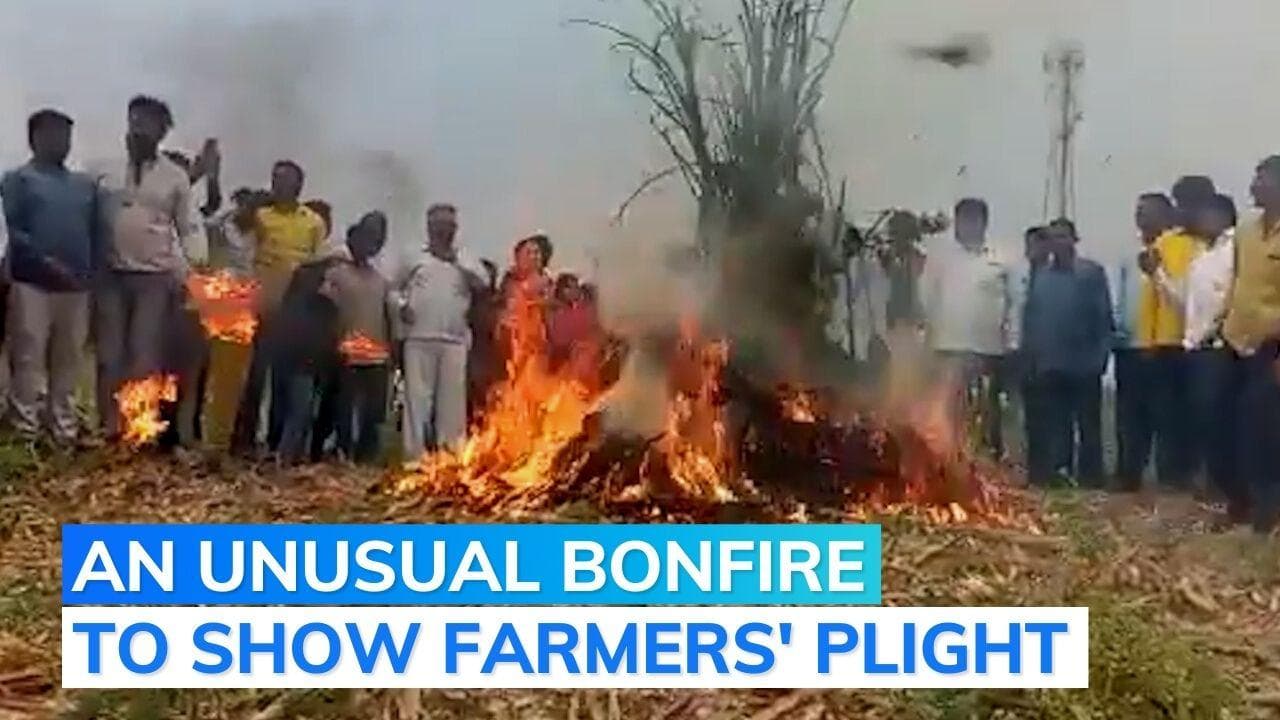 Maharashtra farmer sets onion crop on fire in protest against govt as prices tumble