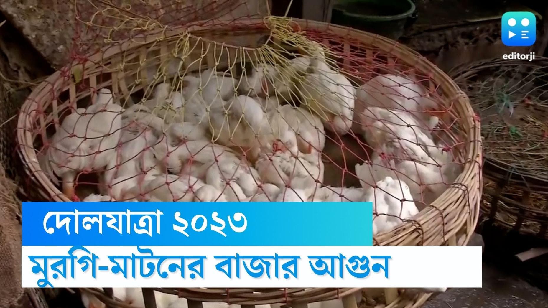 Holi 2023: দোলের আগে বাজার আগুন, তবু পাবদা-ভেটকি-মুরগি-মাটনে দেদার মজেছে আমবাঙালি 