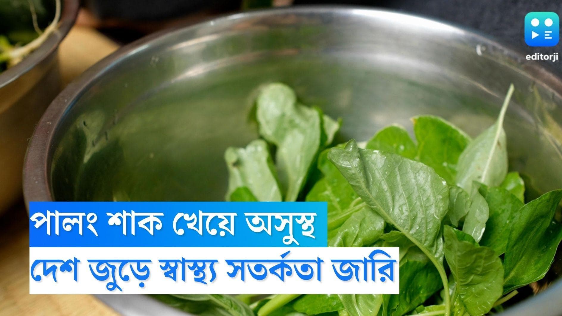 Spinach Suffering Hallucinations: পালং শাক খেয়ে হাসপাতালে ৯, দেশ জুড়ে জারি স্বাস্থ্য সতর্কতা