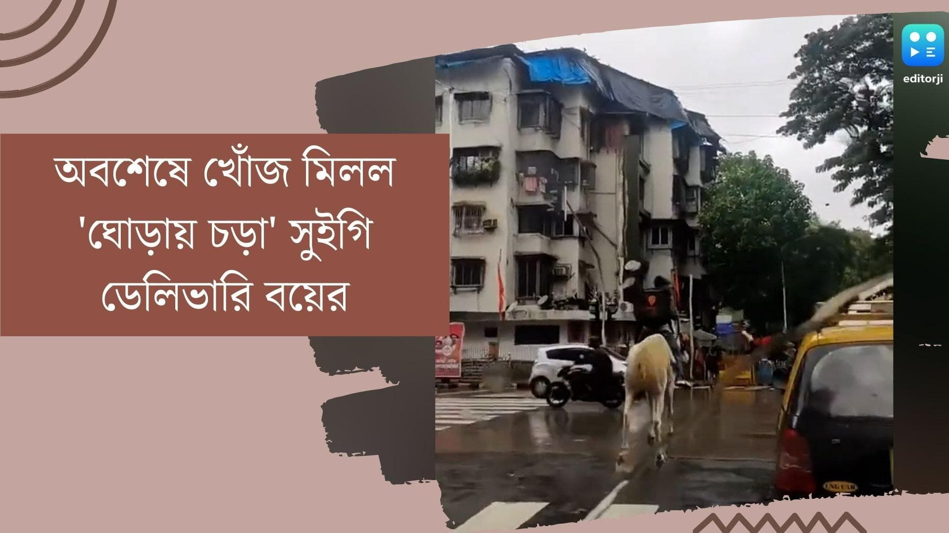 Swiggy Delivery Boy: ঘোড়ায় চড়ে সুইগির খাবার ! কে সেই ডেলিভারি বয় ? জানা গেল আসল পরিচয়