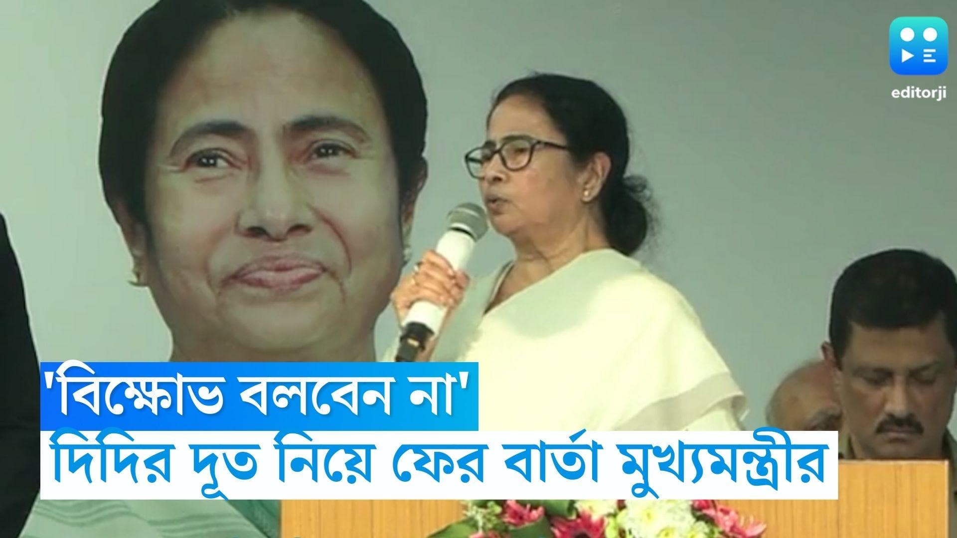 Mamata Banerjee: 'একে বিক্ষোভ বলবেন না', দিদির দূতদের নিয়ে ফের বার্তা মুখ্যমন্ত্রীর