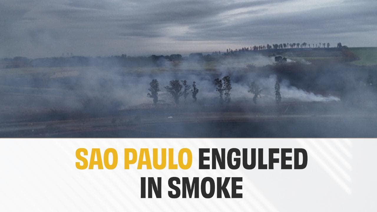 Brazil Struggles To Contain Sao Paulo Wildfires | 2 Killed, 42 Cities On High Alert