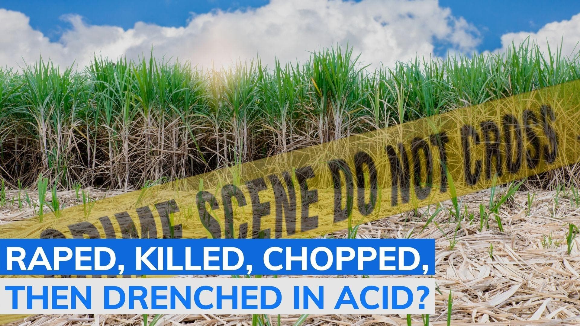 Missing UP woman's chopped body found in sugarcane field, identified by slippers & clothes