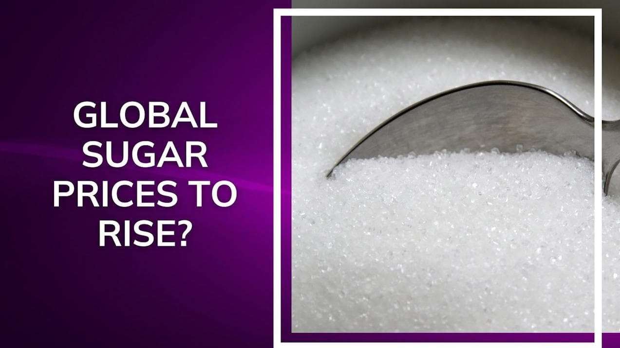 Sugar export under watch, may be capped by govt