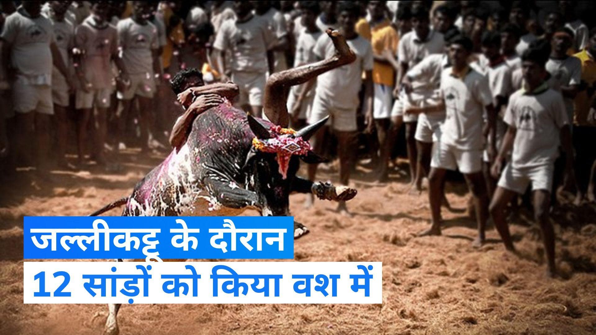 Jallikattu: युवक ने 12 सांडों पर पाया काबू, जीती बाइक 