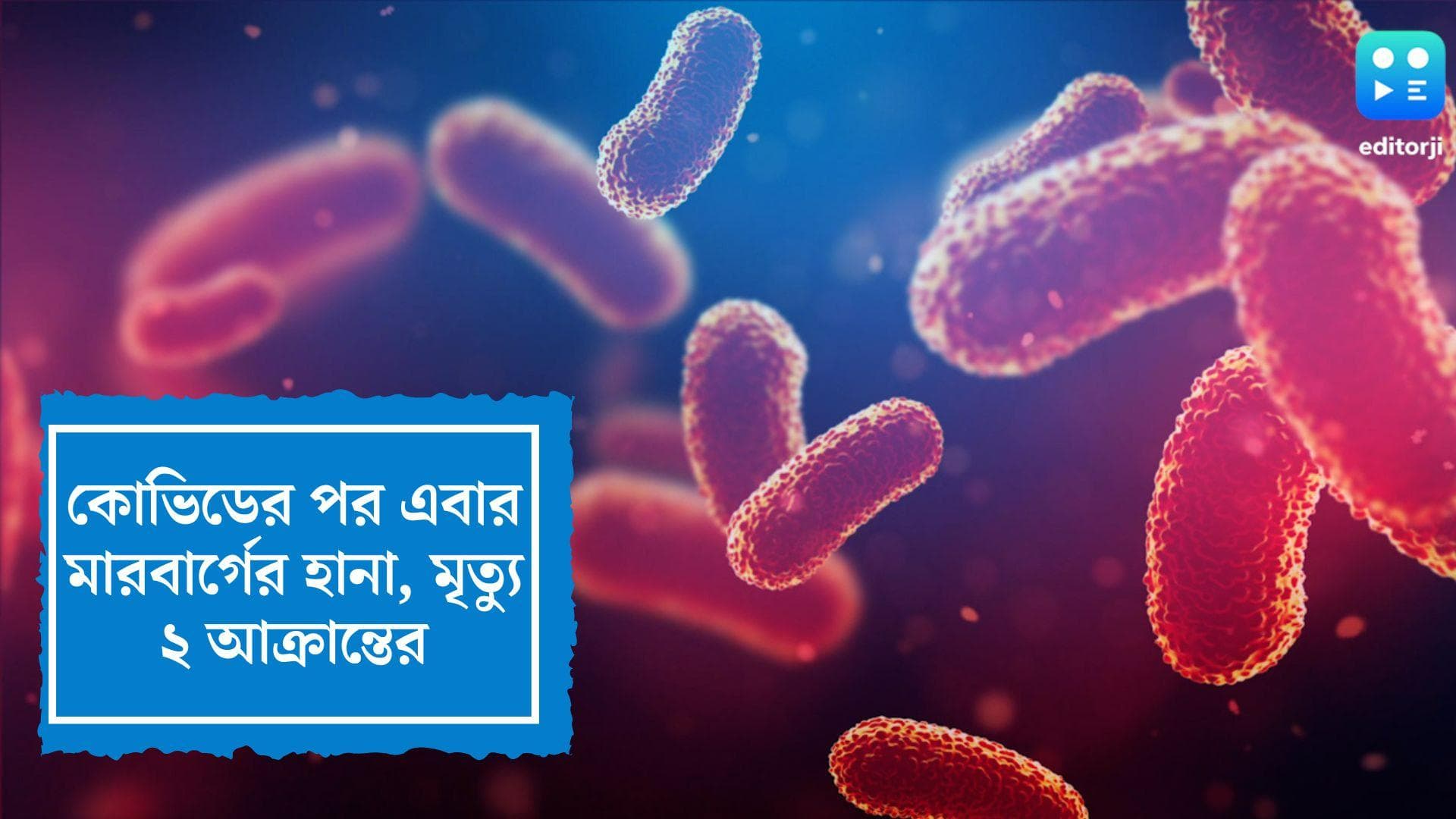 Marburg Virus: কোভিডের পর এবার মারবার্গের হানা, ঘানায় মৃত্যু ২ আক্রান্তের