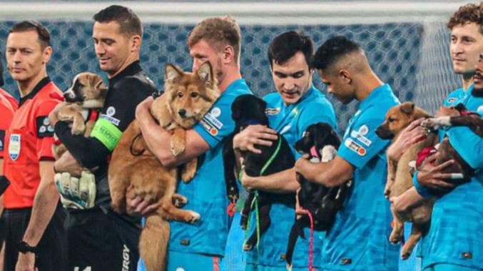 Watch! Paw-dorable moment when footballers took the field with dogs