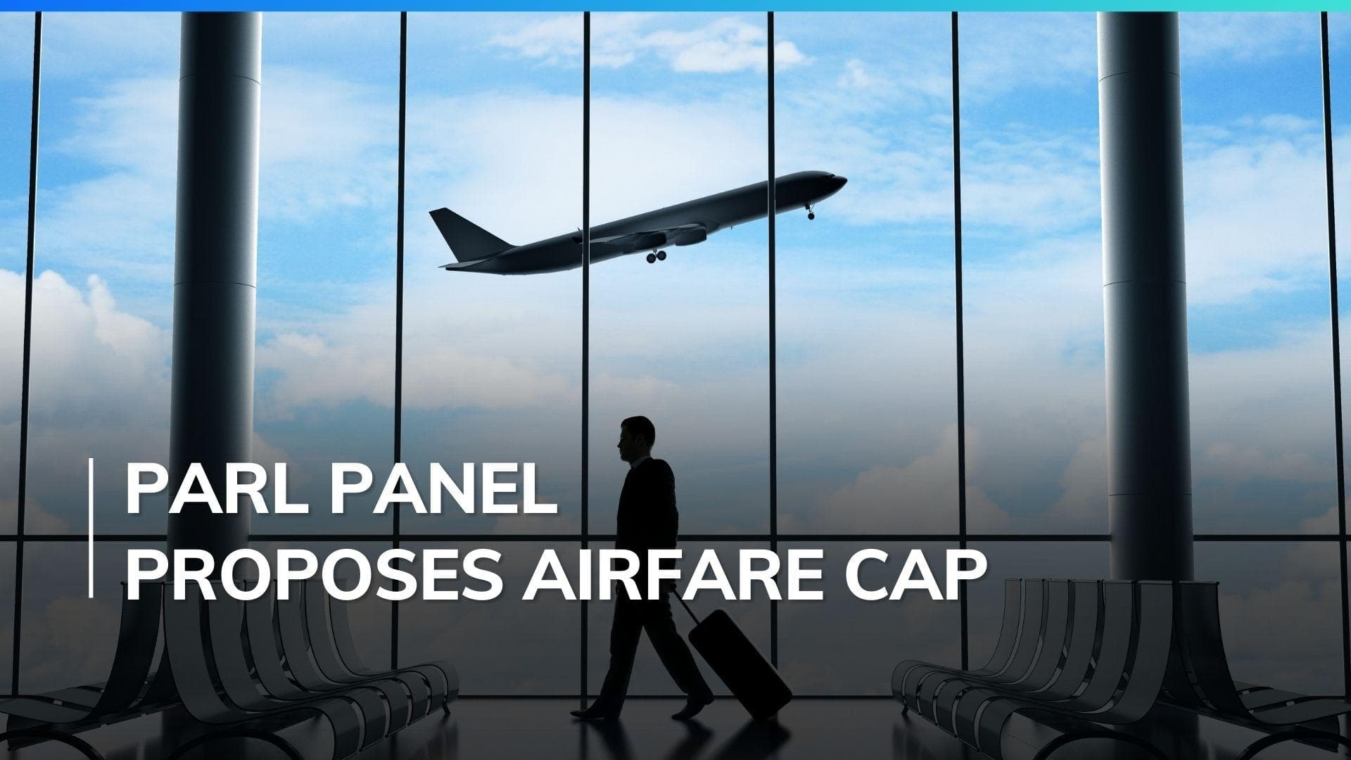 Parliamentary panel proposes route-specific cap on airfares