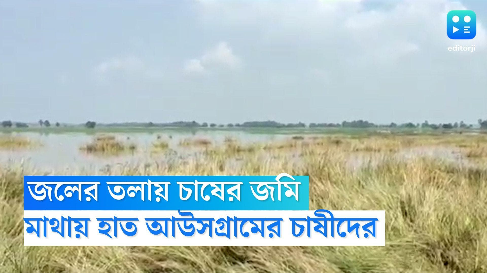 Heavy Rainfall in East Burdwan: জলের তলায় চাষের জমি, ফসল নষ্টের আশঙ্কায় পূর্ব বর্ধমানের আউসগ্রামের চাষীরা