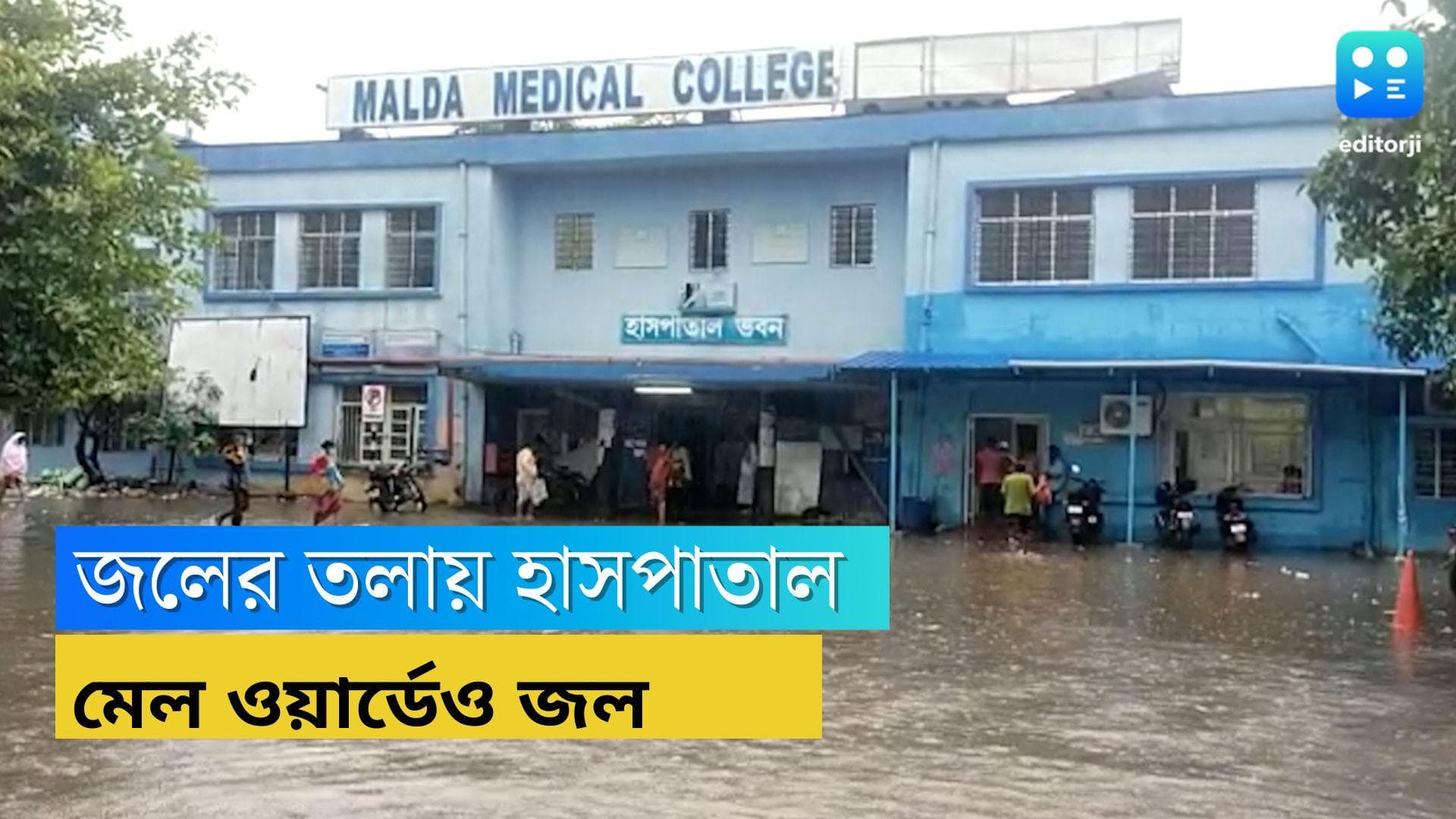 Water logged Malda Medical College: প্রবল বৃষ্টি, জলমগ্ন মালদহ মেডিক্যাল কলেজ!