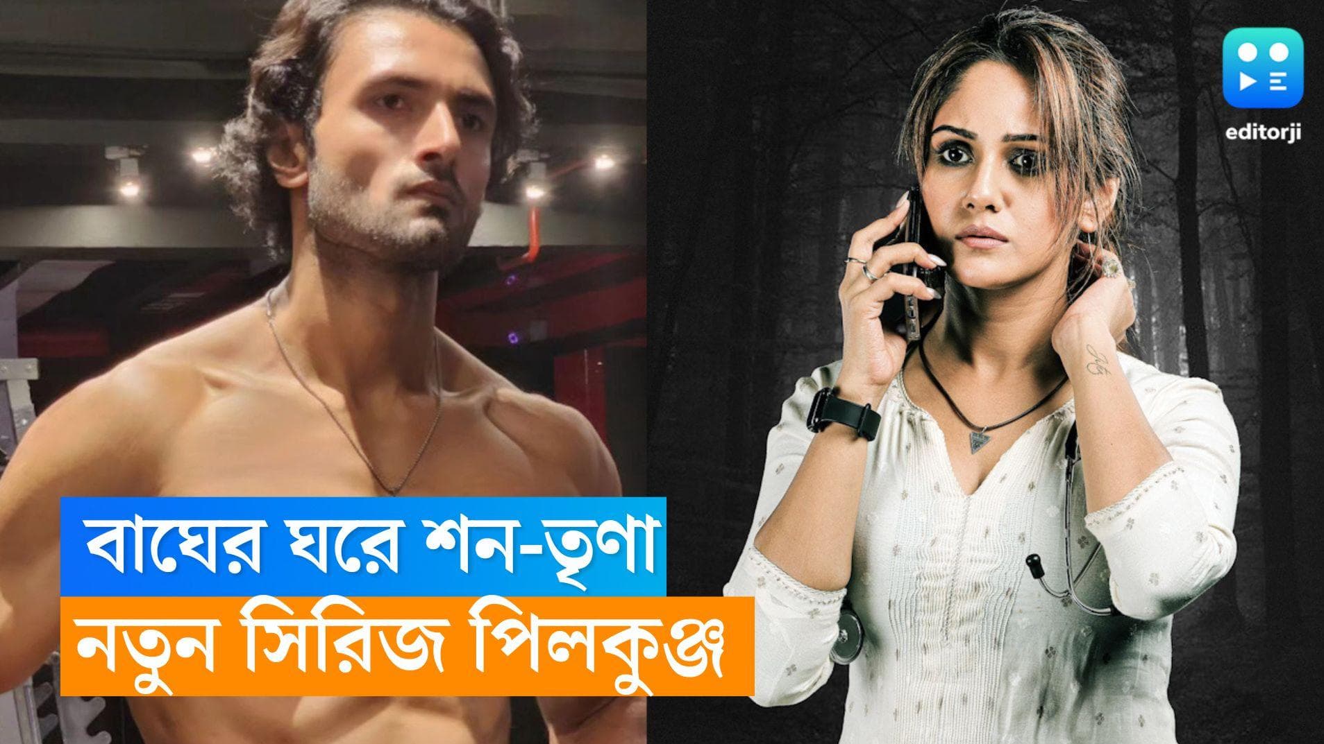 Trina Saha-Sean Banerjee: পিলভিট রহস্য, বাঘের ঘরে এবার শন-তৃণা 