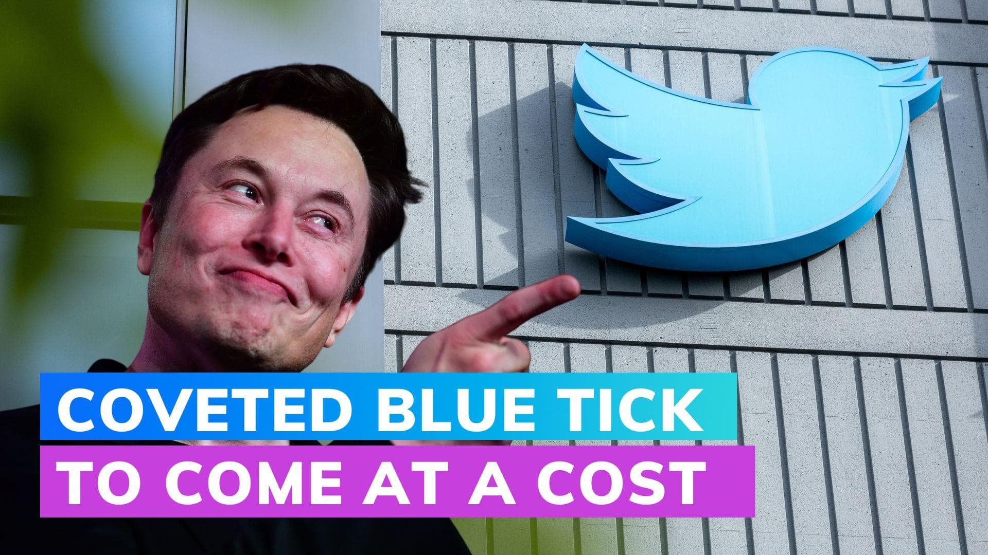 Twitter blue tick users to pay this much per month
