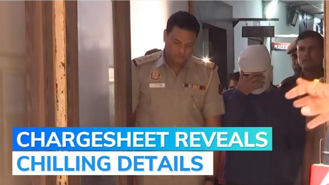 Shraddha's body cut into 17 pieces, moved between fridge and cabinets: Chargesheet