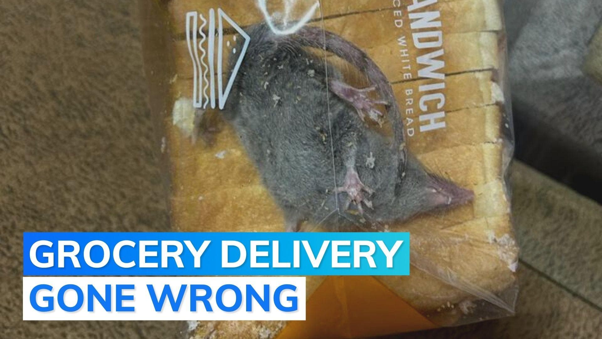 Watch: man posts picture of live rat inside bread packet, grocery delivery company responds