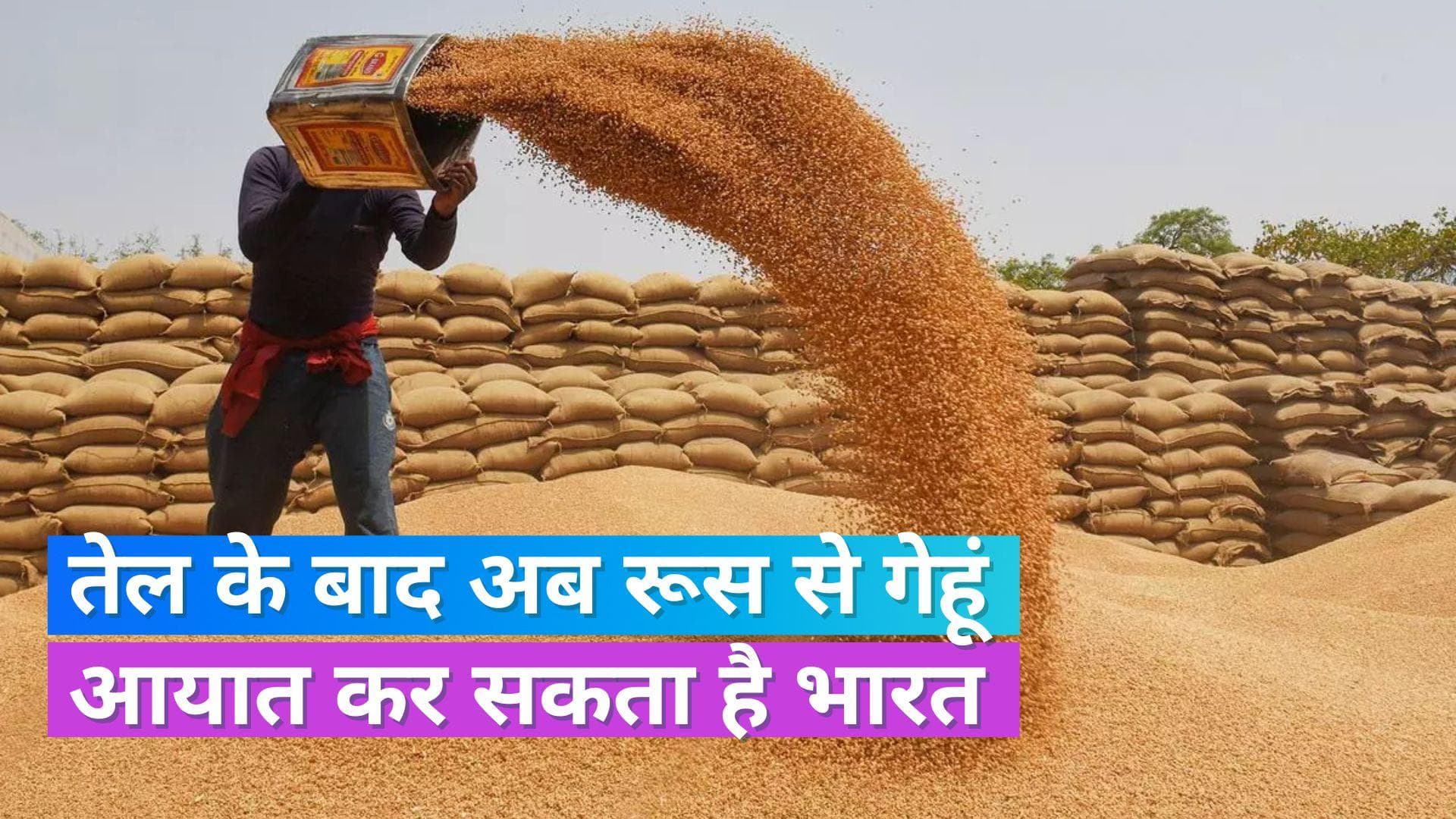 Wheat Import: रूस से सस्ते दामों पर गेहूं का आयात कर सकता है भारत, जानिए क्यों आई ये नौबत