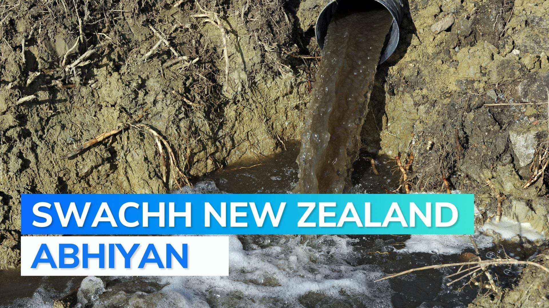 Campers want New Zealand govt to tighten laws on pooping in public places