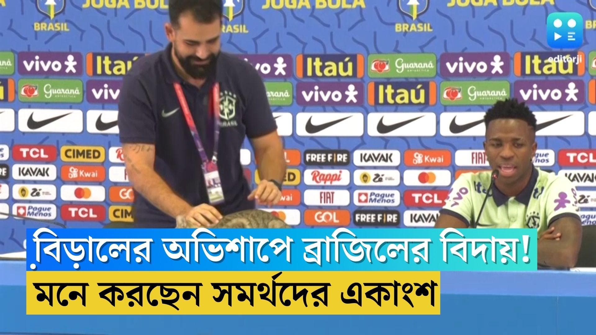 Qatar World Cup Brazil: বিড়ালের অভিশাপেই বিদায় ব্রাজিলের! মনে করছেন সমর্থকদের একাংশ 