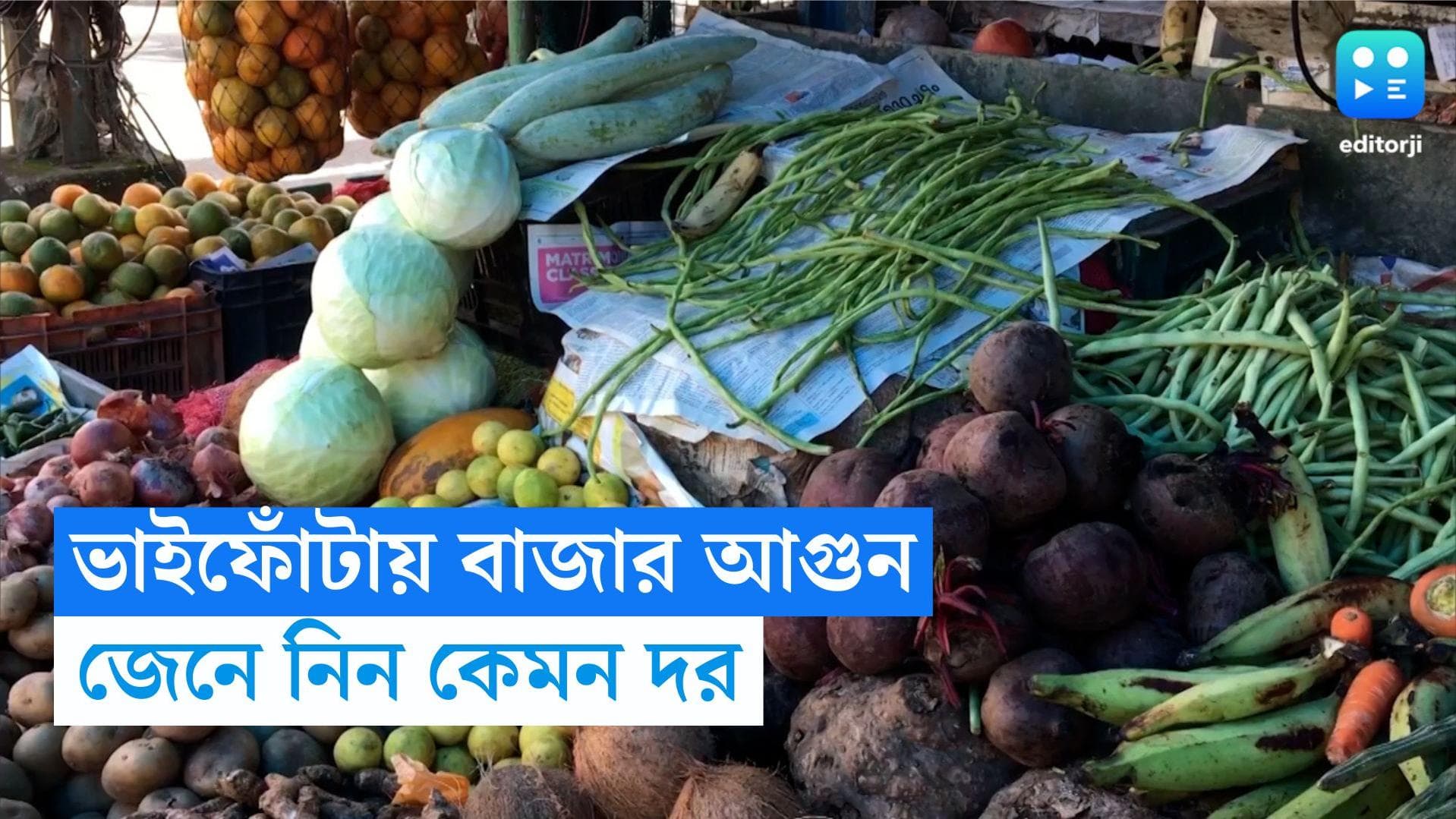 Bhaifota Market: ভাইফোঁটায় বাজার আগুন, মাছের দাম আকাশছোঁয়া