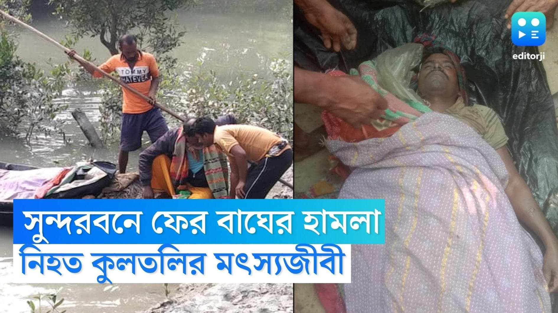 Sundarban Tiger Killing: সুন্দরবনে ফের বাঘের হানায় মৃত এক মৎস্যজীবী