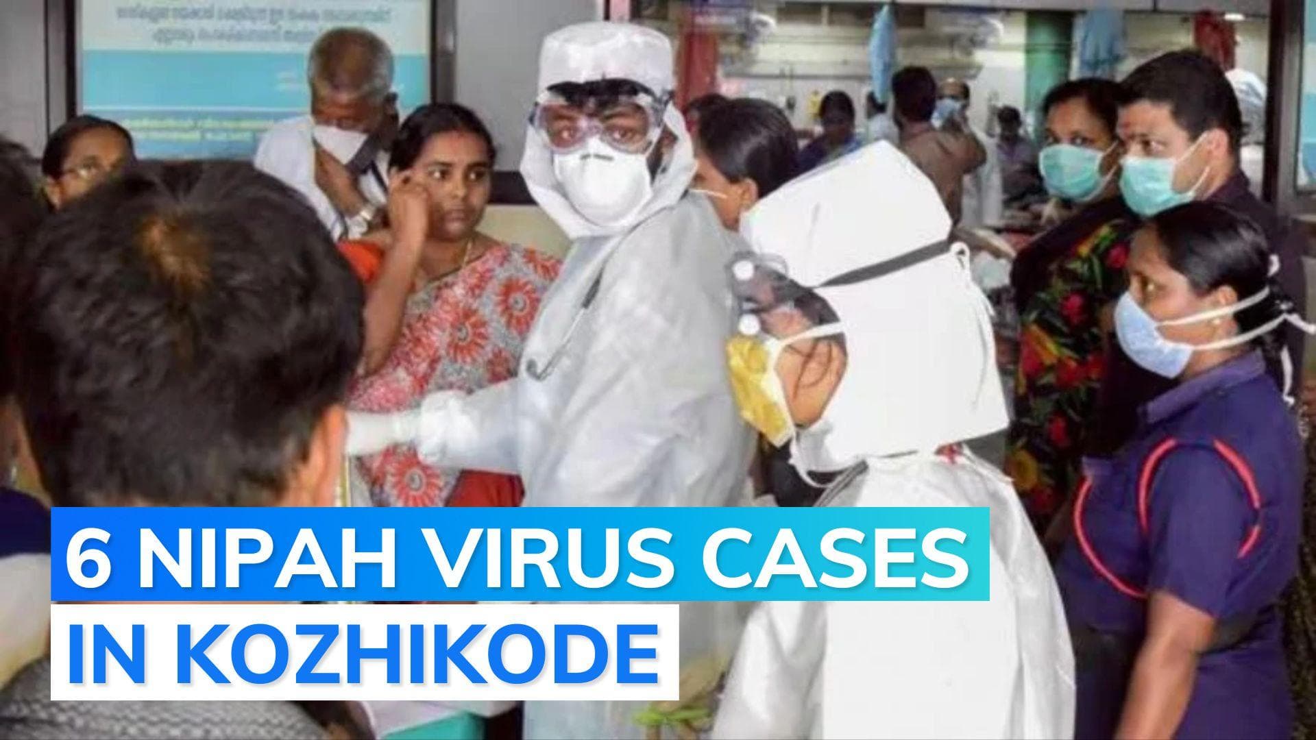 Nipah virus in Kerala: one more case reported, Centre sends antibody for treatment 