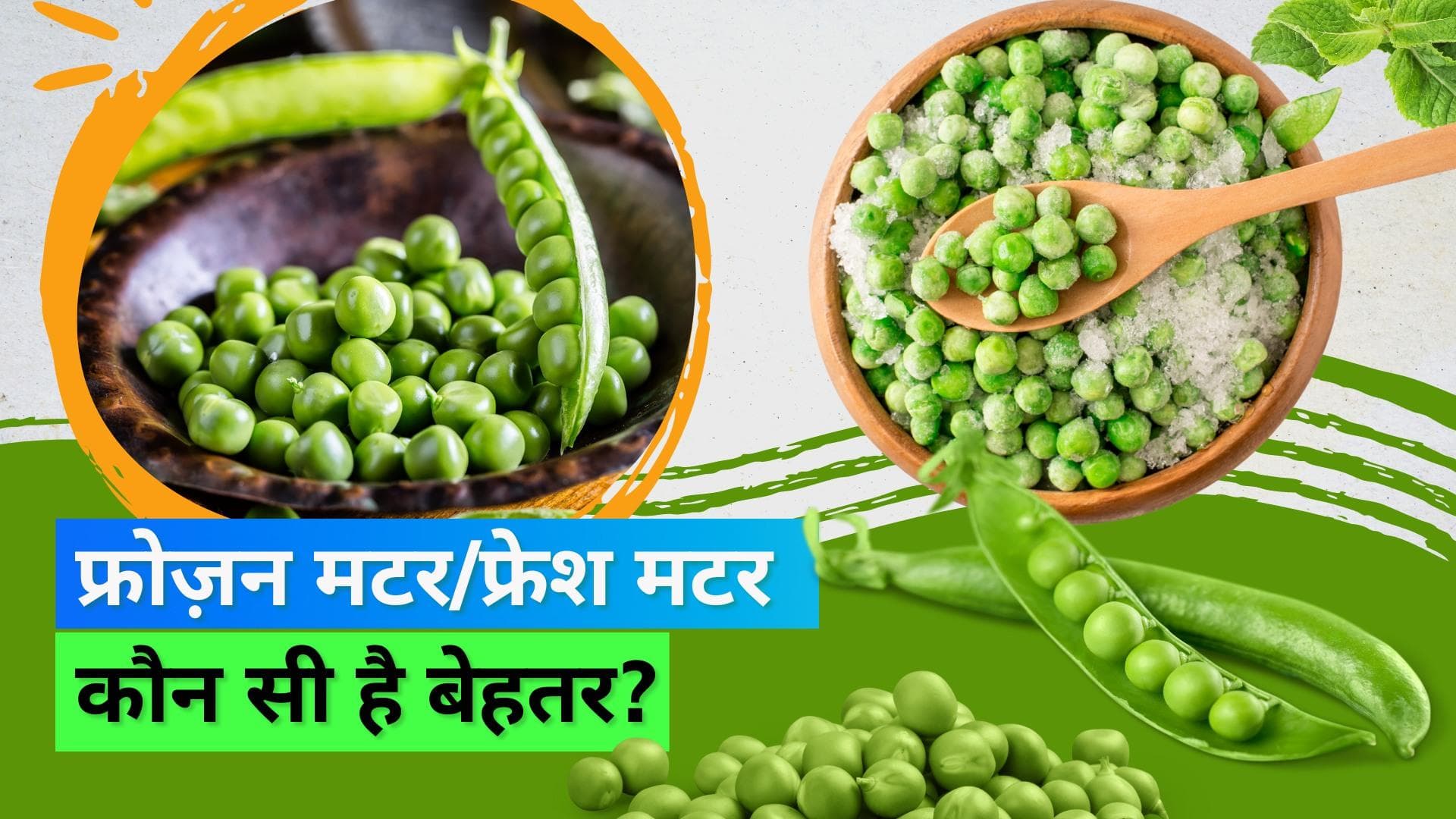 Frozen Peas vs Fresh Peas: फ्रोज़न मटर है फ्रेश मटर से बेहतर, जानिए क्या है इसके पीछे की वजह