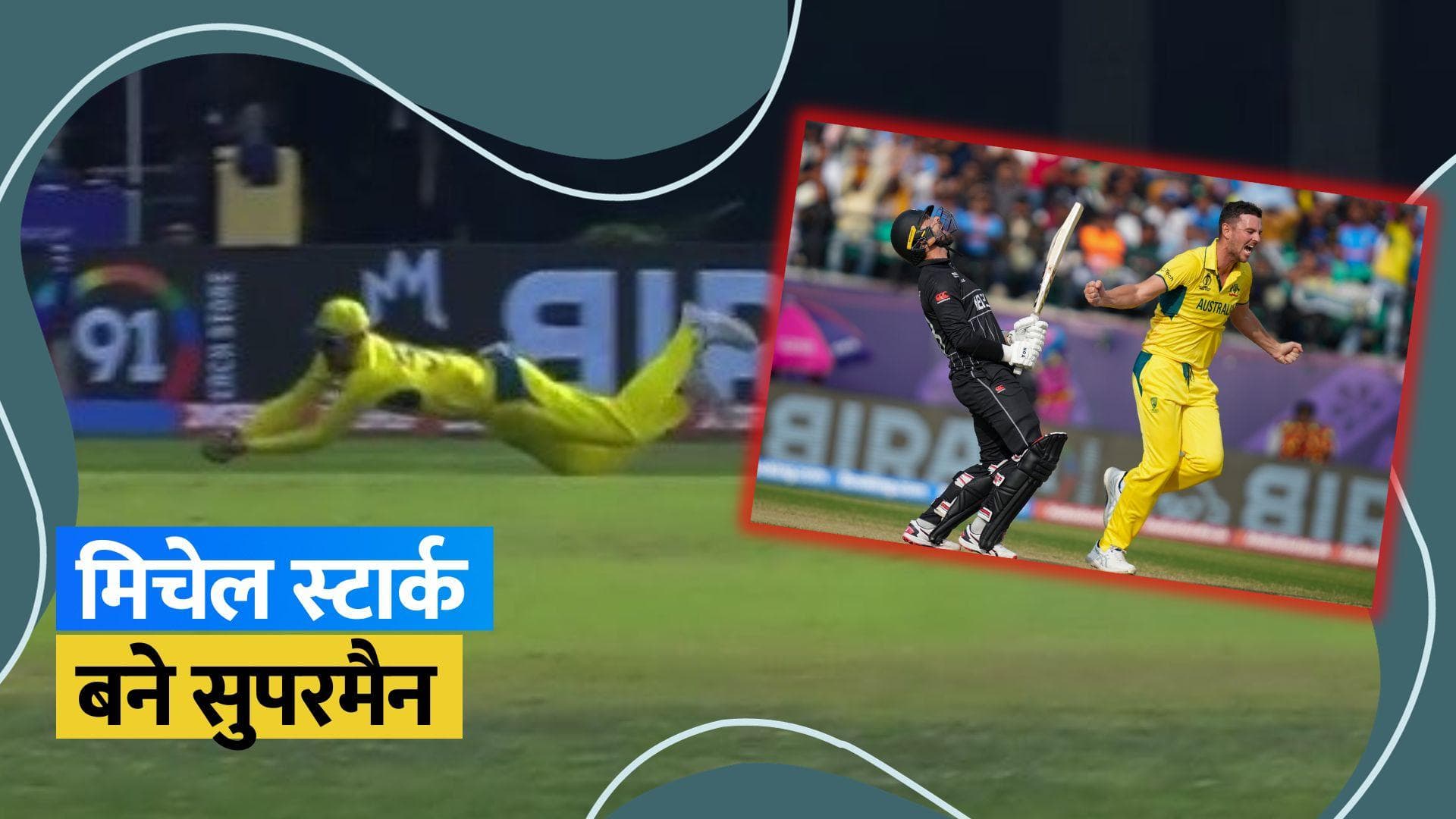 World Cup 2023: मिचेल स्टार्क ने लगाया हवा में गोता, पकड़ा हैरतअंगेज कैच