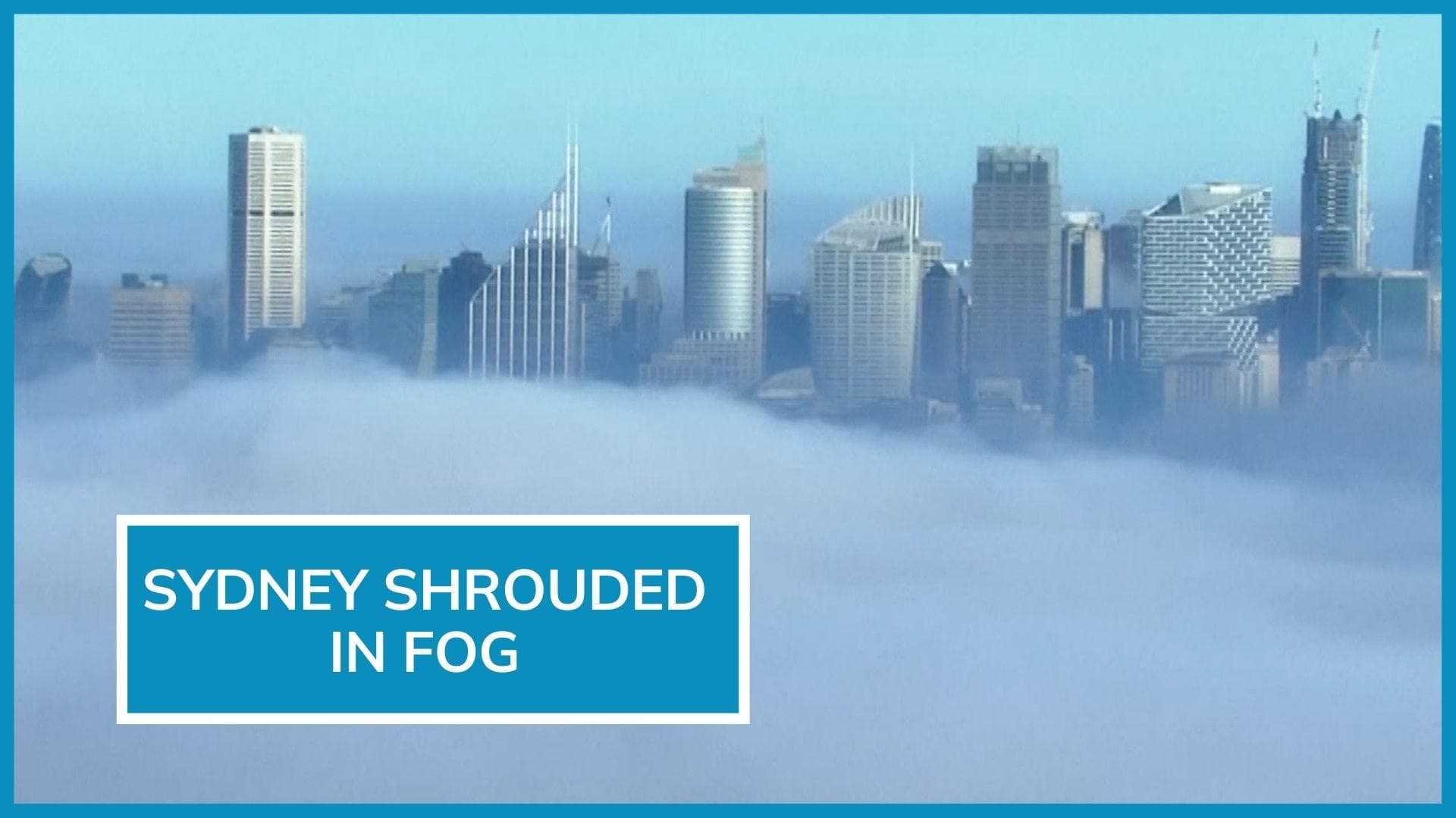 On camera: Sydney wakes up to thick blanket of fog