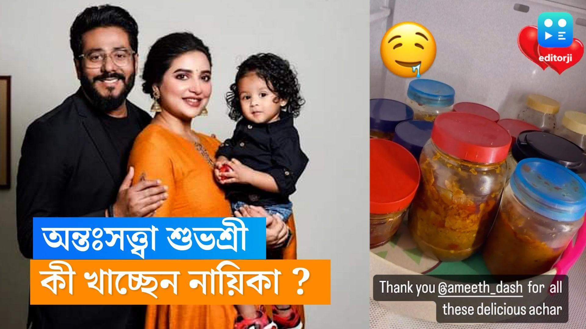 Subhashree Ganguly : দ্বিতীয়বার অন্তঃসত্ত্বা, কী খেতে মন চাইছে শুভশ্রীর ?