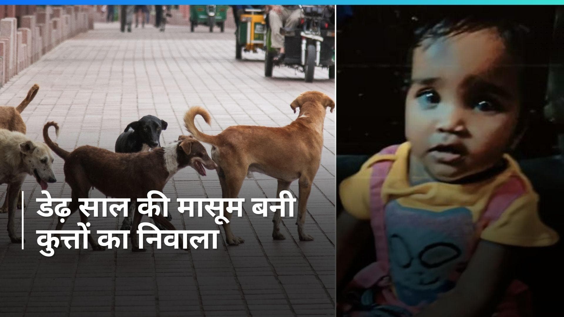 Stray Dogs: Delhi में डेढ़ साल की बच्ची को कुत्तों ने नोच-नोच कर मार डाला
