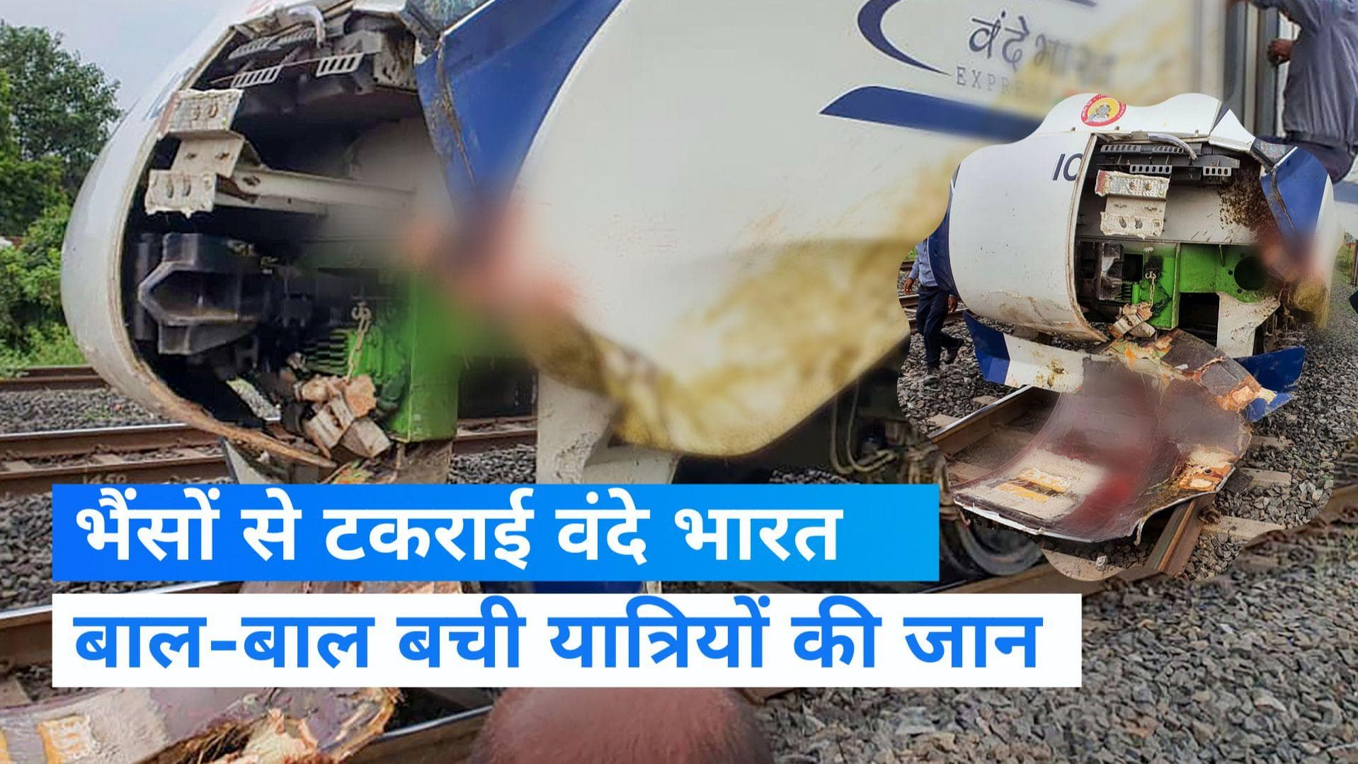 Vande Bharat Express Accident: भैंसों से टकराई 'वंदे भारत एक्सप्रेस', PM मोदी ने दिखाई थी हरी झंडी