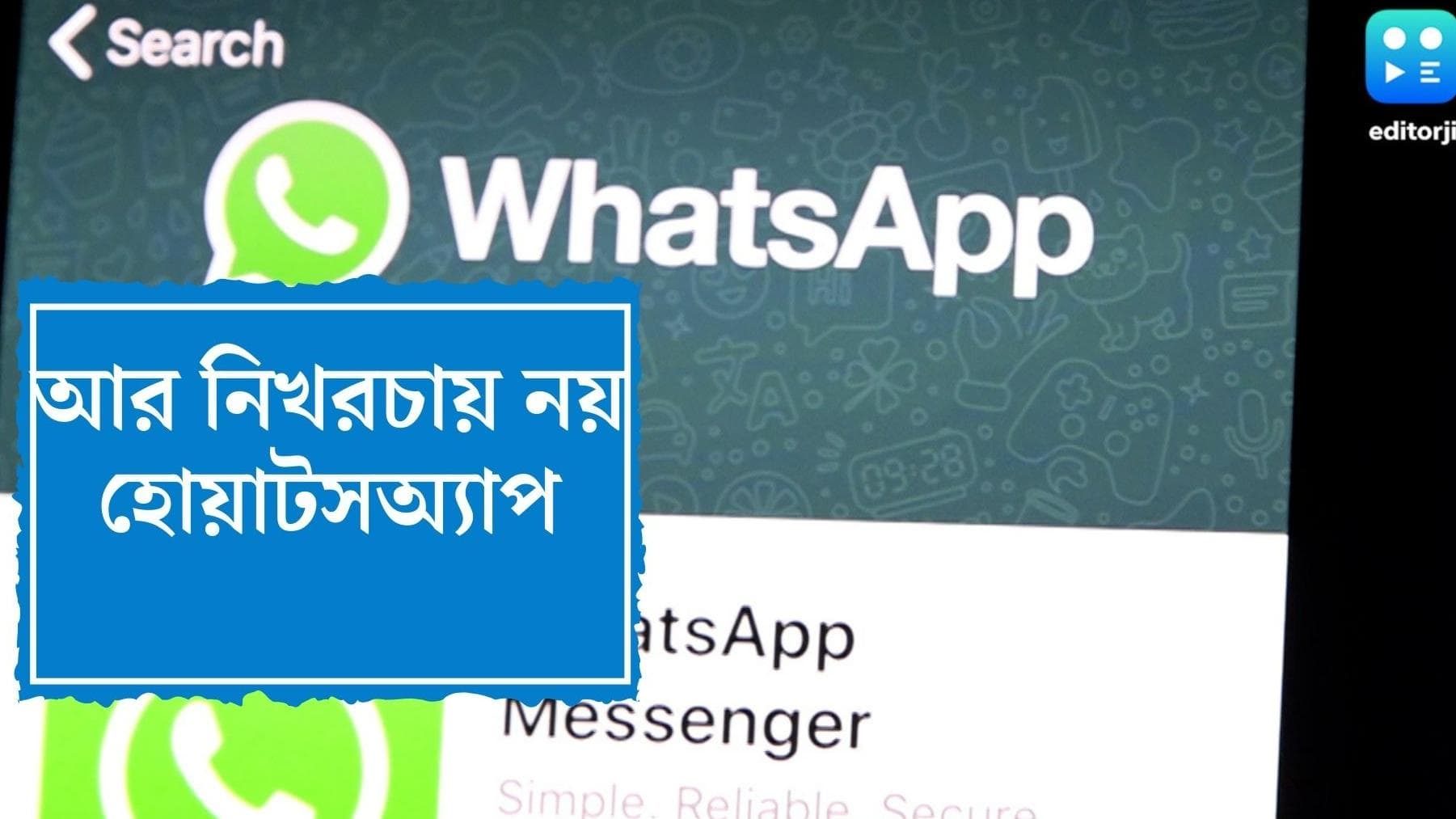 WhatsApp Premium Subscription: হোয়াটস্অ্যাপ ব্যবহার আর নিখরচায় নয়