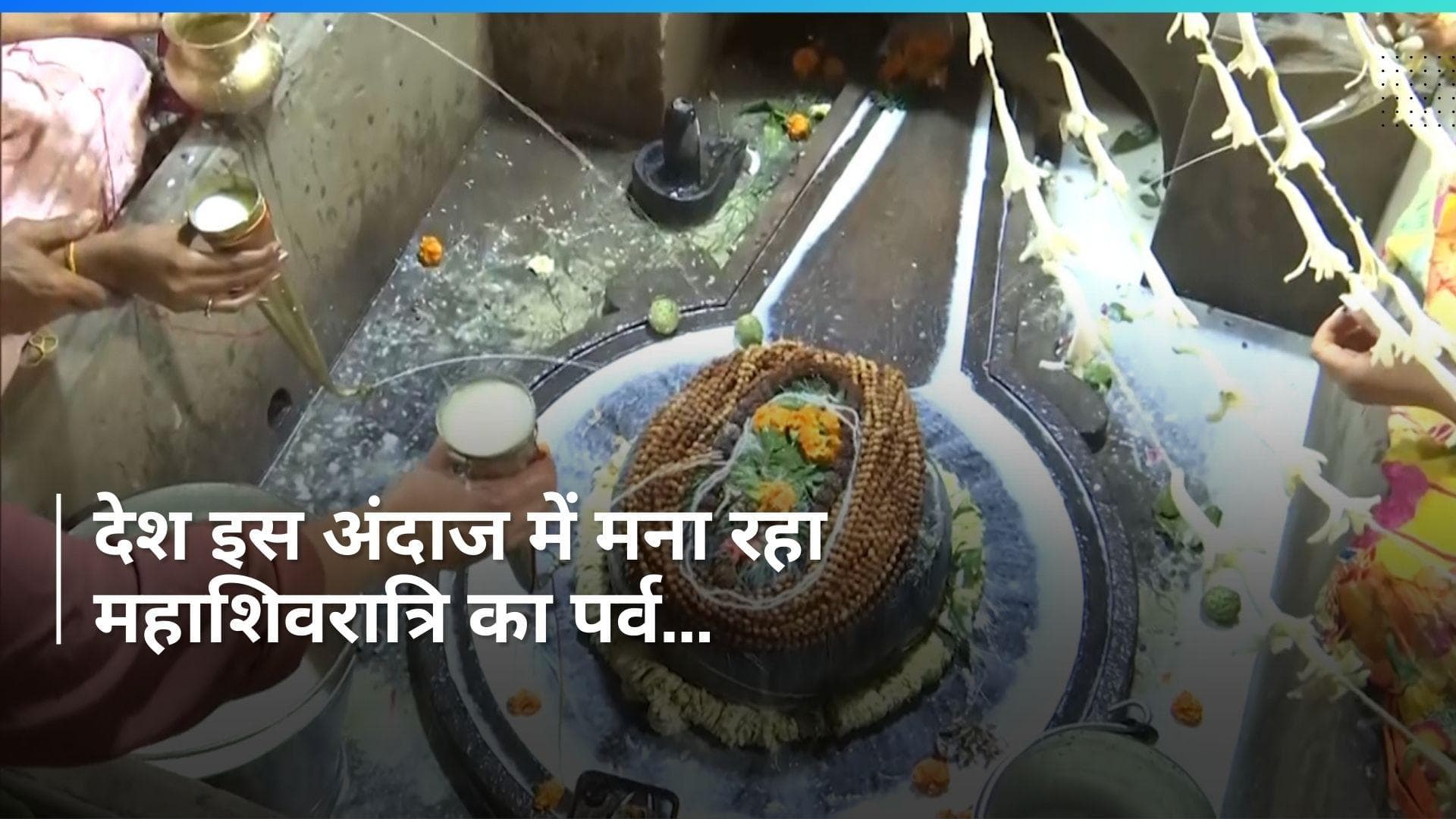 Mahashivratri 2024: देशभर में महाशिवरात्रि की धूम, दुल्हन की तरह सजे मंदिर...उमड़ी श्रद्धालुओं की भीड़