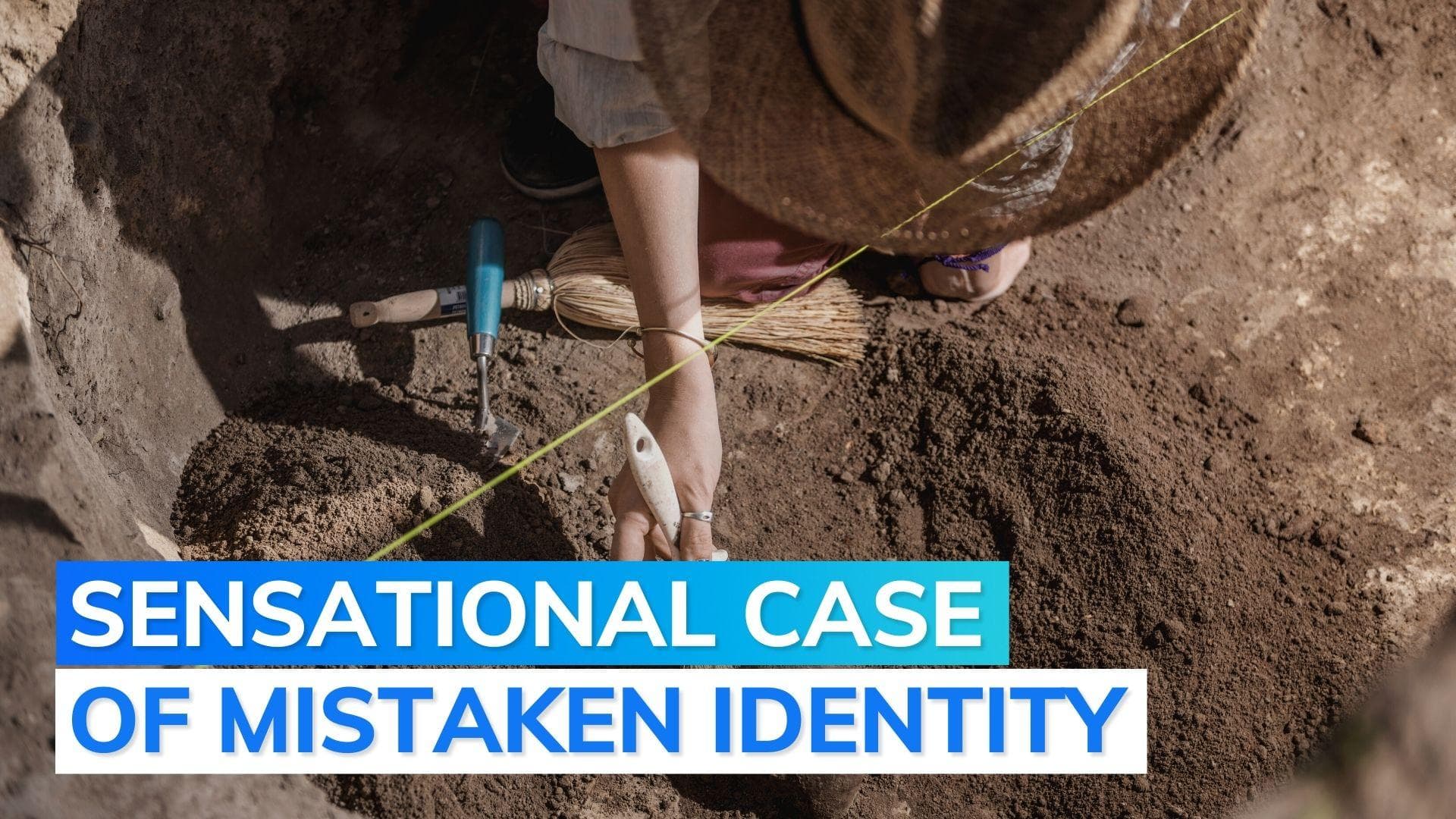 Rare fossil found in MP actually decaying beehive imprints; researchers accept mistake