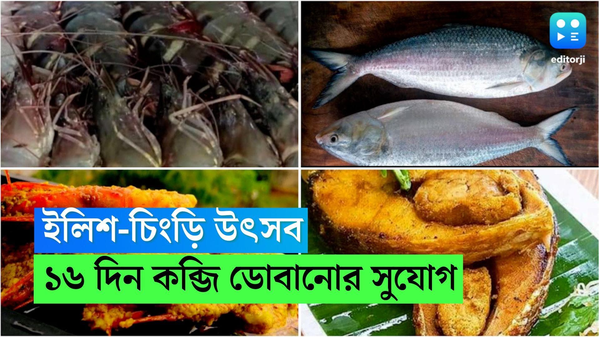 Ilish-Chingri Festival: পাতে পড়ুক ইলিশ-চিংড়ি! ভরা বর্ষায় আলিপুরের ক্যাফেতে কব্জি ডুবিয়ে হোক পেট পুজো