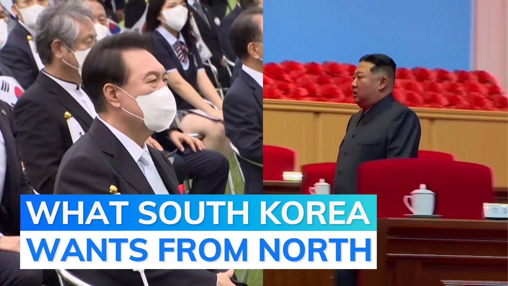 On Korean independence day, South offers North economic benefits for denuclearisation