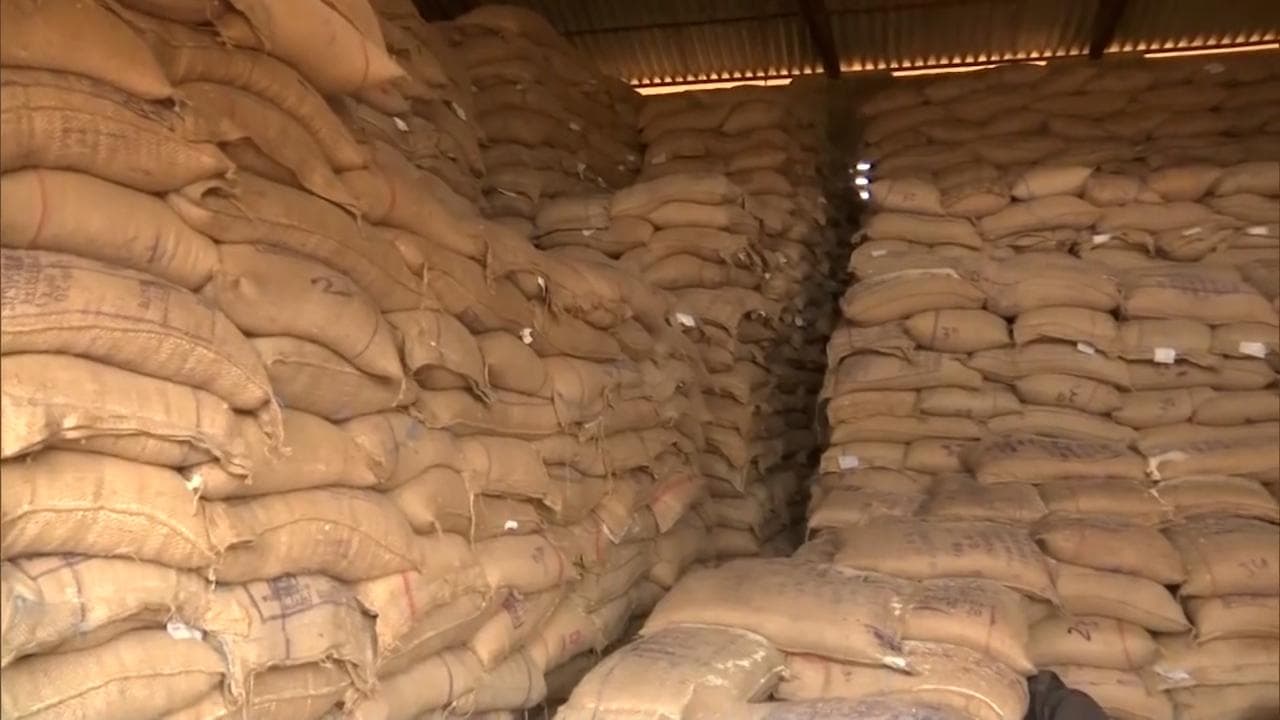 More than 1,900 centres for wheat procurement set up in Punjab